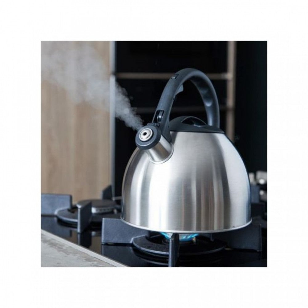 Bouilloire théière souffleur en Inox - 2 Litres